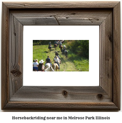 horseback riding near me in Melrose Park, Illinois